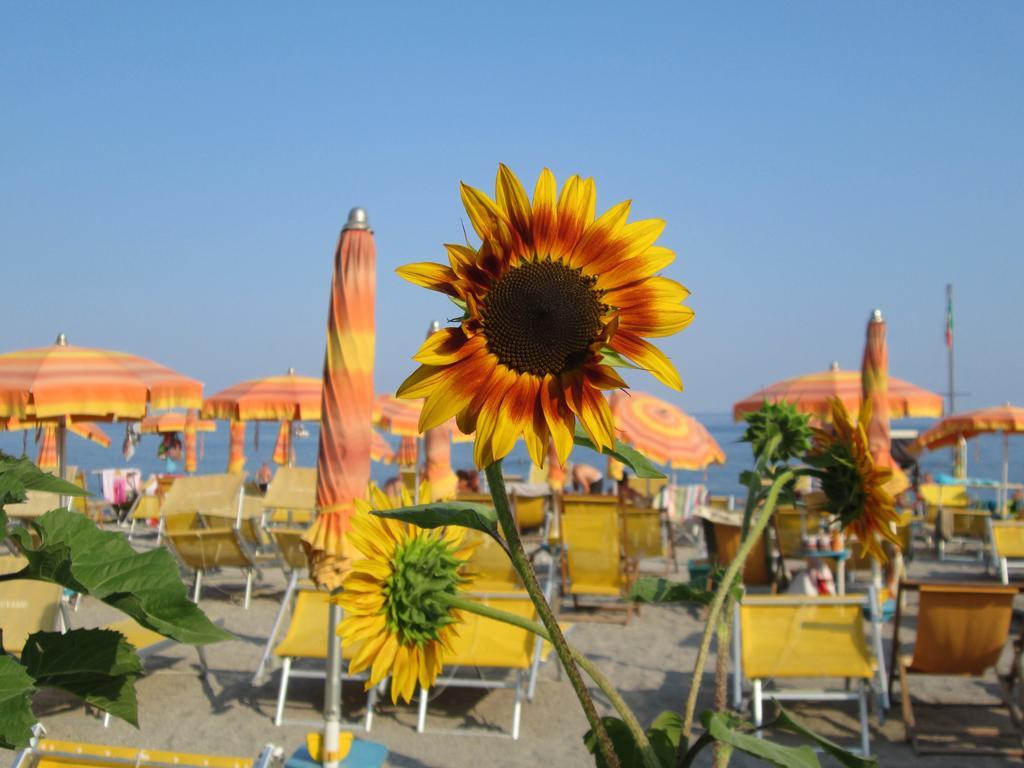 Residence Mare Verde Pietra Ligure Exterior foto